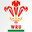 Welsh Rugby Union | Wales & Regions | Homepage