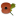 World War One Photos. Thousands Of Photos To Download. Including Gallipoli And The Somme. Soldiers Photos, Obituaries And Service Records.