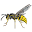 Yellowjackets