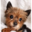 Yorkie Haven Rescue