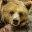 See animals in Montreal | Zoologicals in Montreal