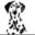 Vet Hospital In Yanchep, WA | Yanchep Veterinary Hospital