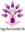 Yoga Flow Essential Oils