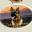 Zeder Kamme German Shepherds – Breeder & Sales | Certified German Shepherds