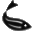 ZFIN The Zebrafish Information Network