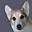 Zippyweb: Fun stuff for Corgi fans