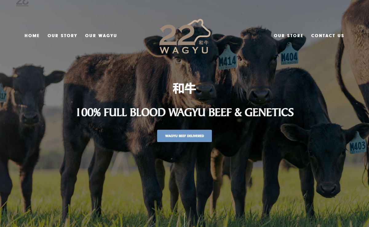 22 Wagyu