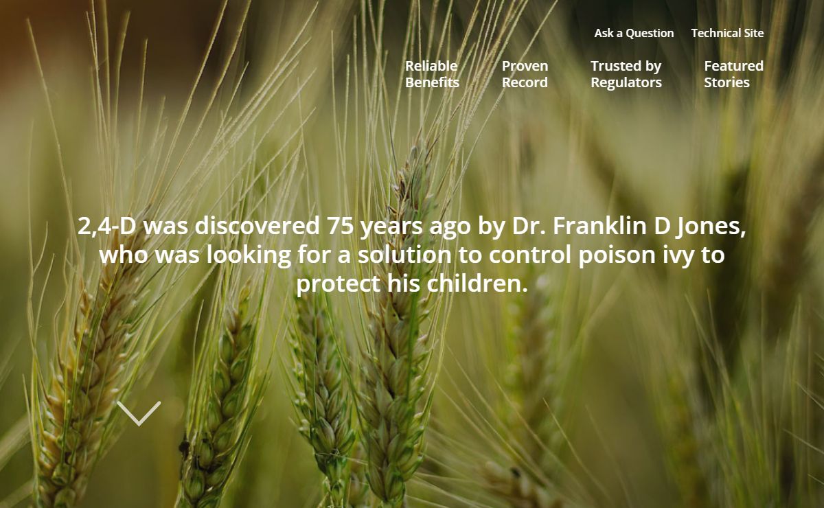 Home - 2,4-D | Selective Herbicide | Protects Crops & Infrastructure : 2,4-D | Selective Herbicide | Protects Crops & Infrastructure