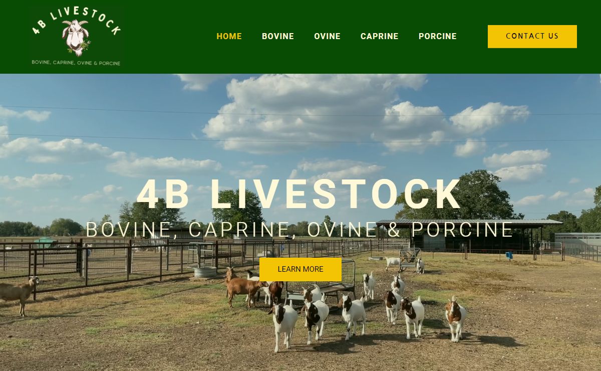 4B Livestock | Bovine, Caprine, Ovine and Porcine for Biomedical Research