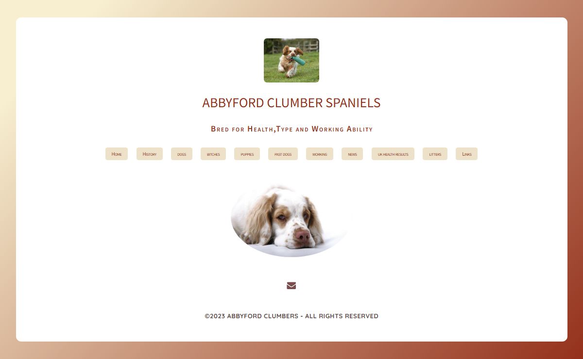 Abbyford Clumber Spaniels