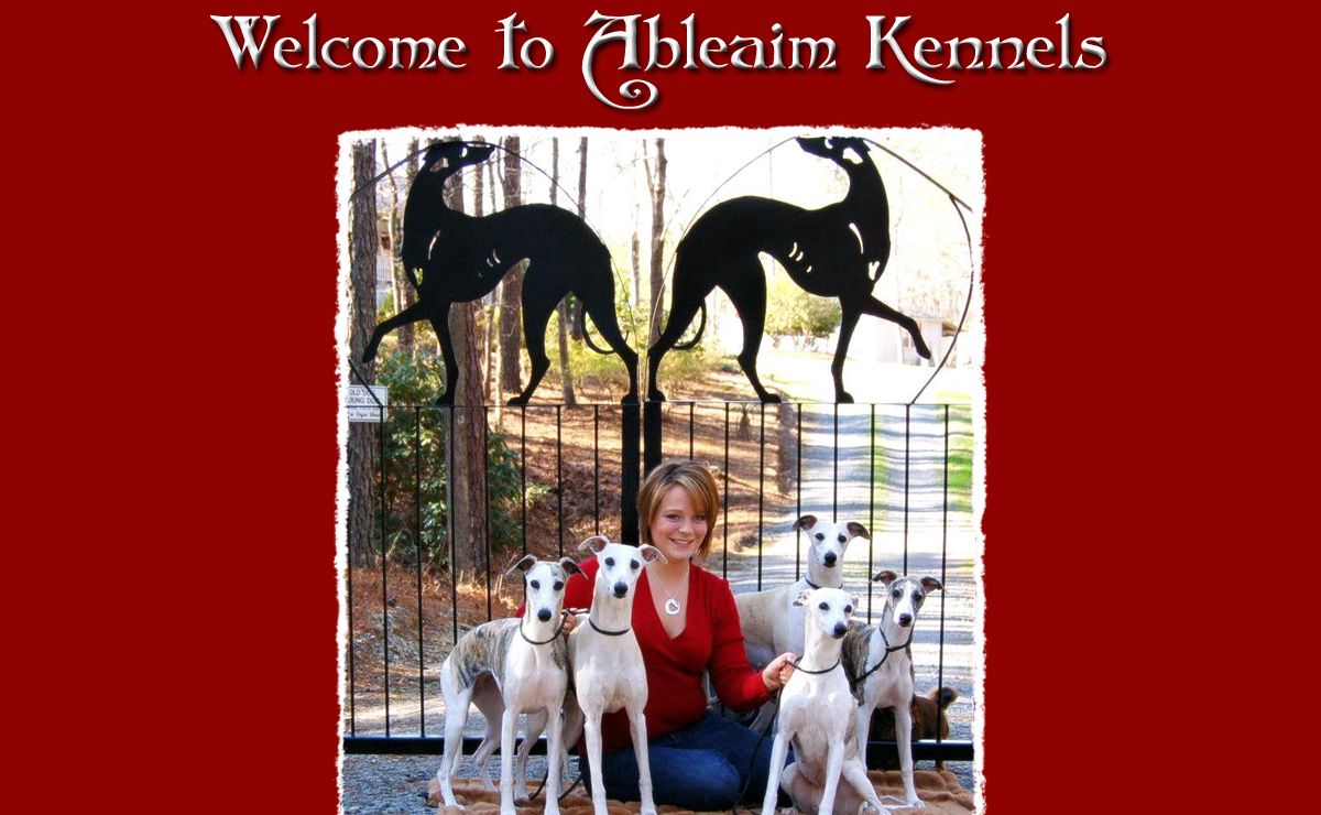 Welcome to Ableaim Kennels