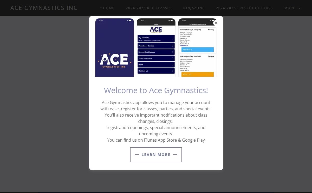 Ace Gymnastics Inc - Gymnastics Instruction, Classes, Teams, Parties