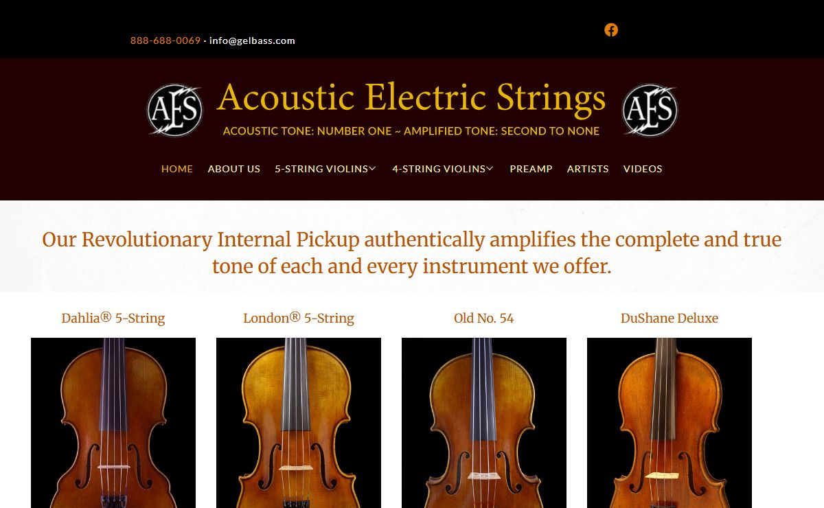 Acoustic Electric Strings by Gary Bartig