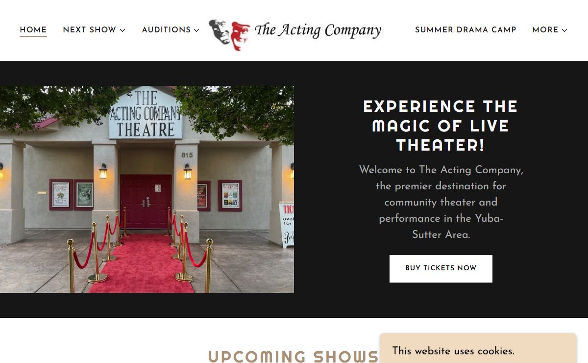 The Acting Company