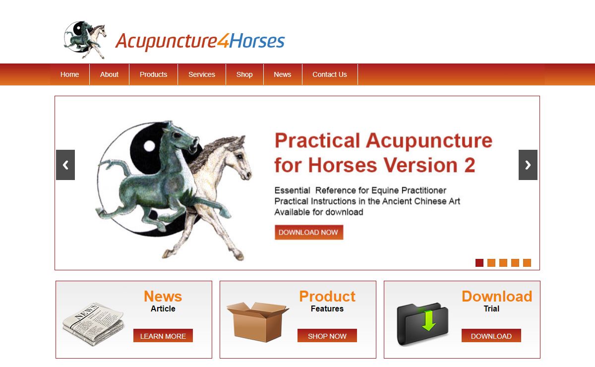 Home Page - Acupuncture4Horses