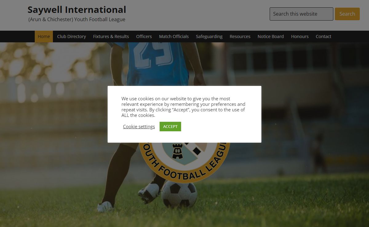 Saywell International – (Arun & Chichester) Youth Football League