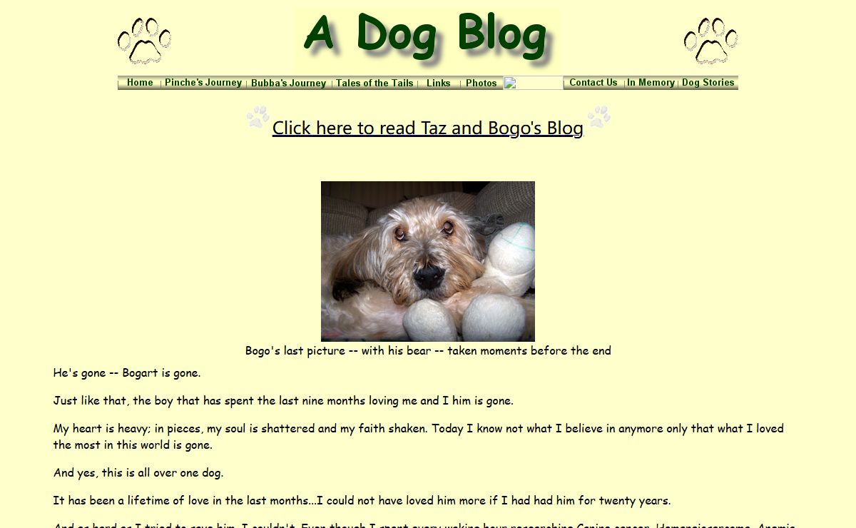 A Dog Blog