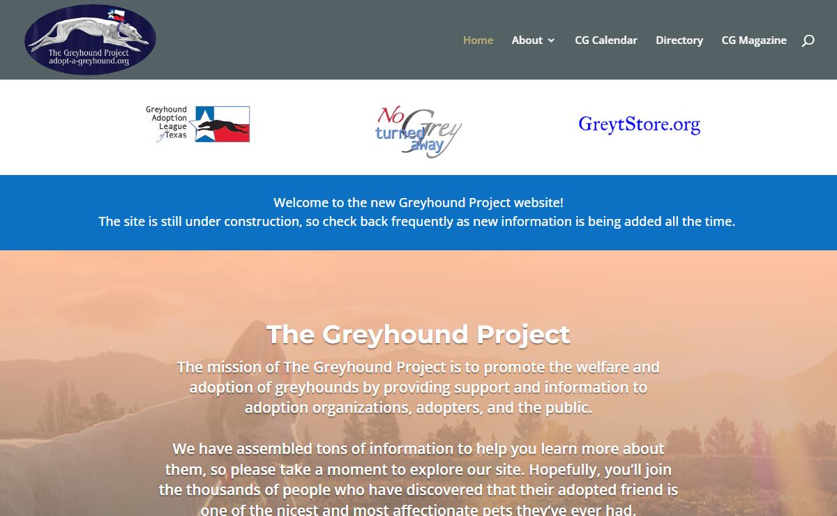 The Greyhound Project | Adopt a greyhound, make a fast friend!