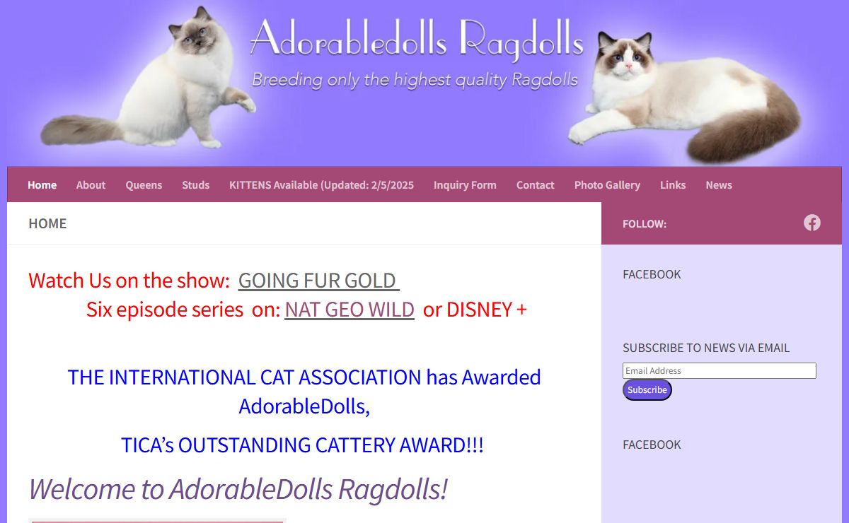 The best Ragdoll kitten breeder in California located in the bay area - AdorableDolls Ragdolls