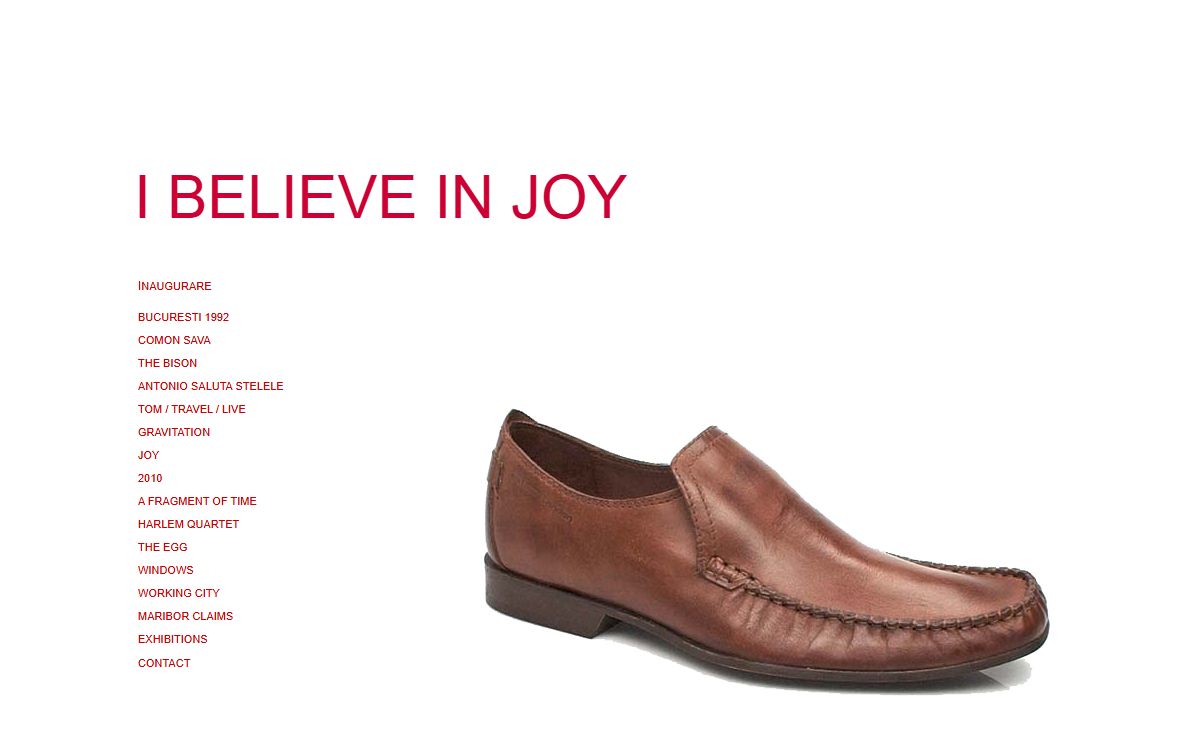 ADRIAN ALECU Ibelieve in joy