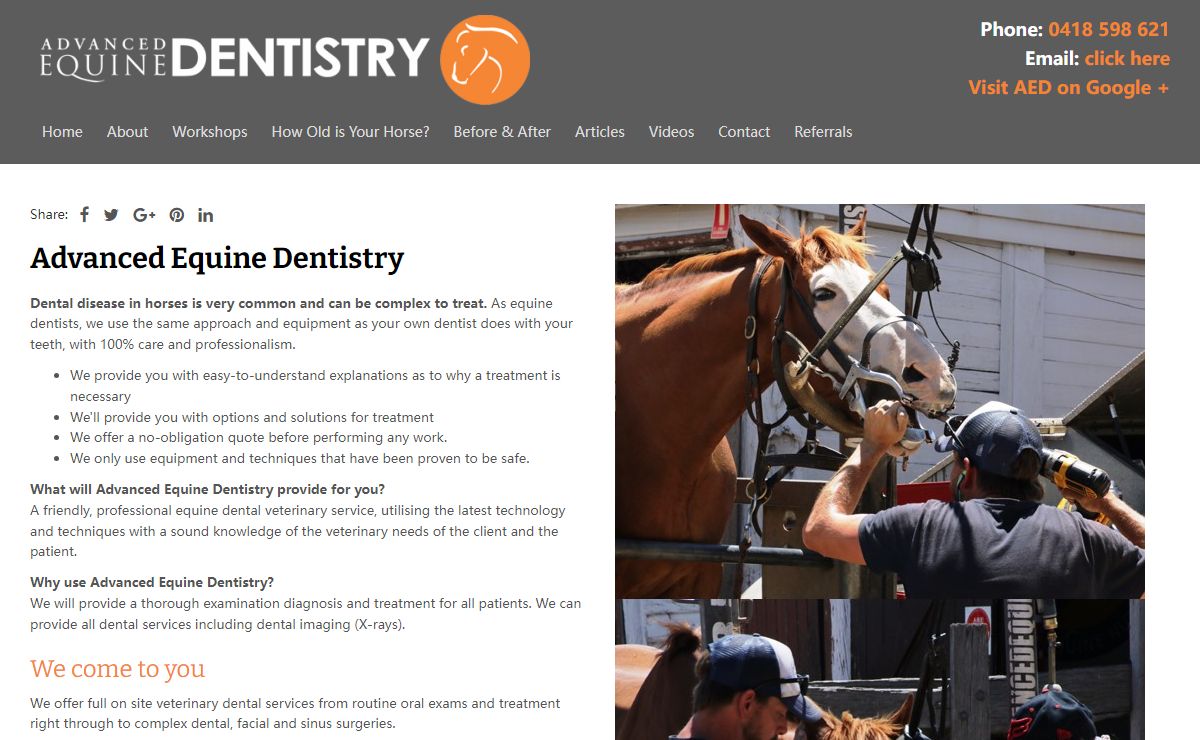 Advanced Equine Dentistry | Dr Shannon Lee | Equine Dental Vet