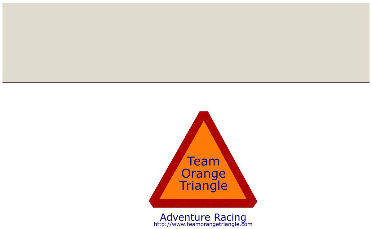 Team Orange Triangle