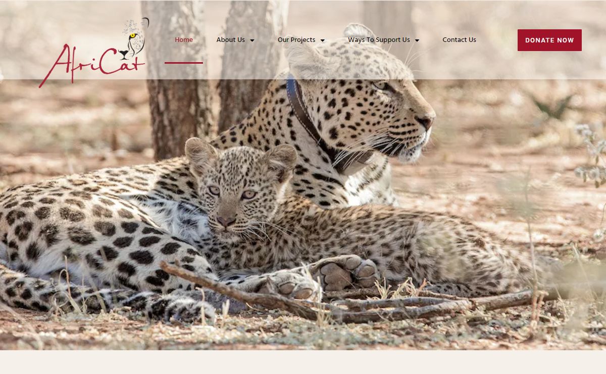 Home - The AfriCat Foundation