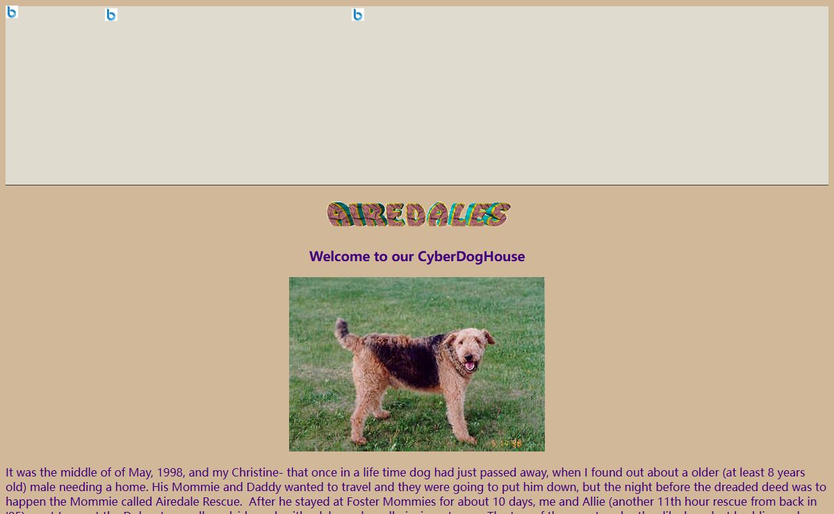 Our Airedale Page