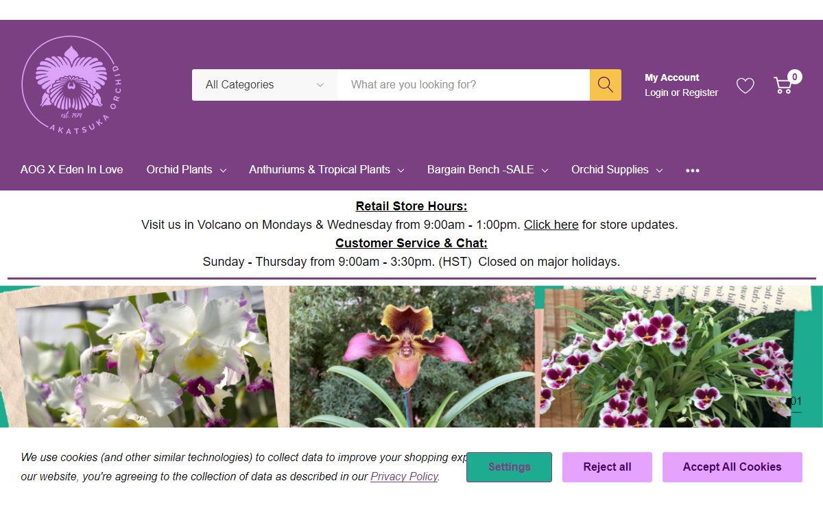 Shop Quality Orchids | Akatsuka Orchid Gardens