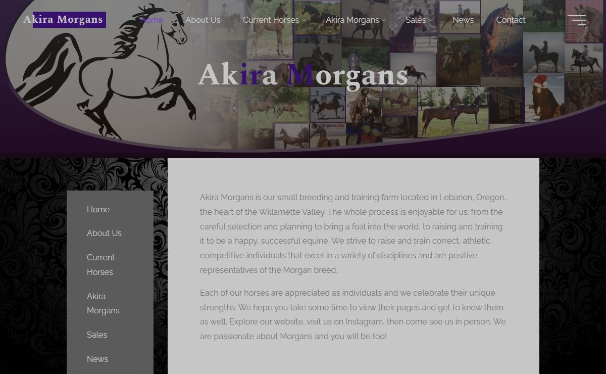 Akira Morgans