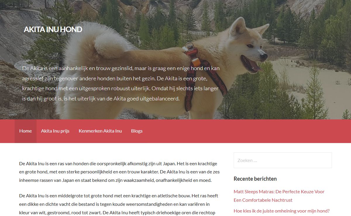 Akita Inu honden zijn een groot en krachtig hondenras