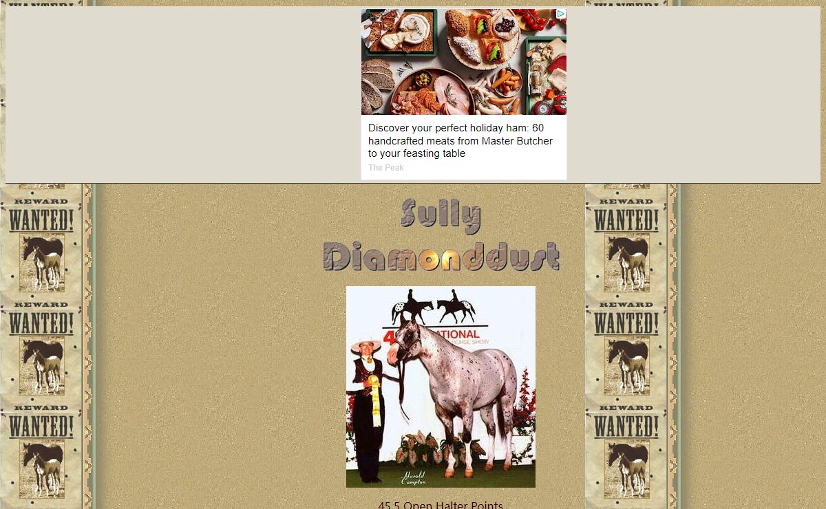 Sully's Appaloosa Page
