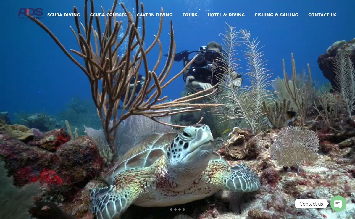 Home - Akumal Dive Shop, Riviera Maya Tulum