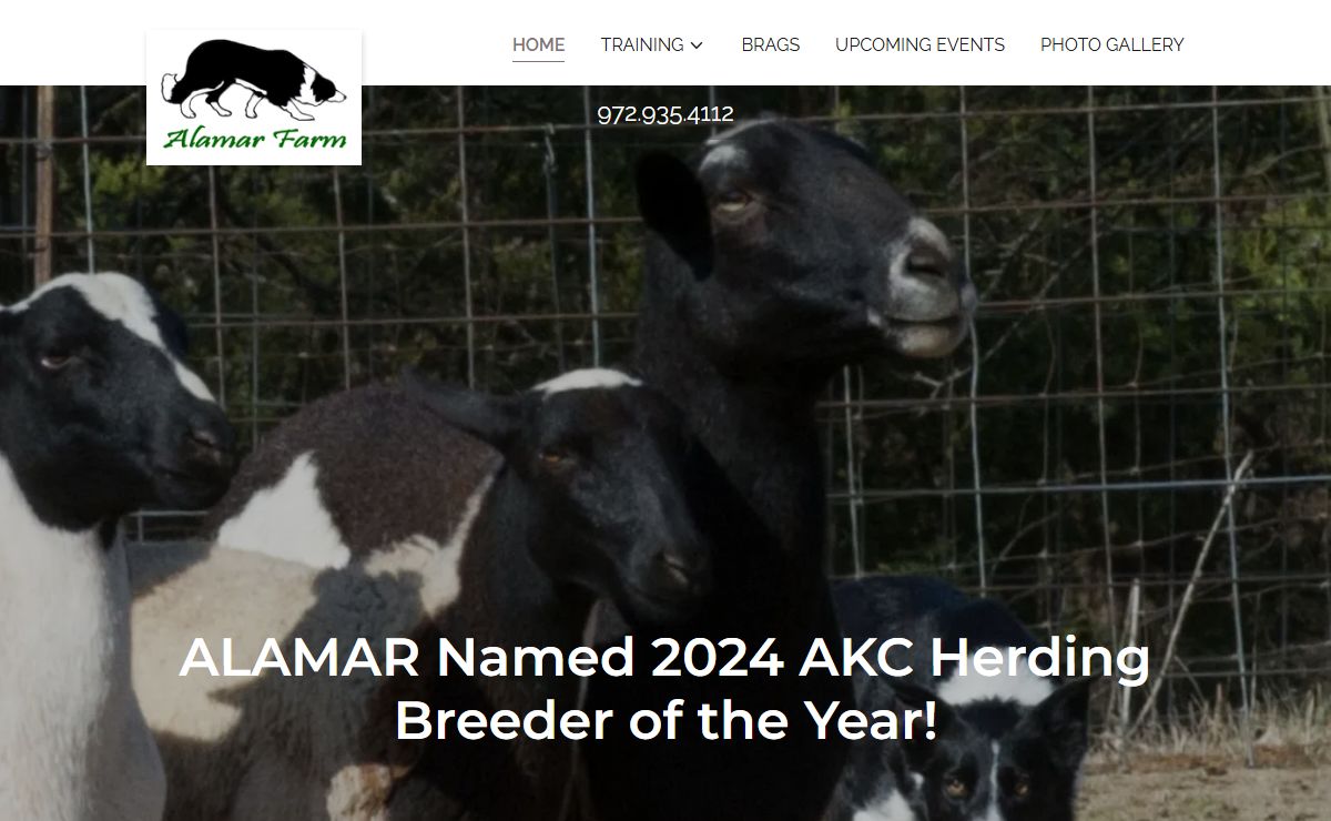 Alamar Farm - Dog Training, Dog Training, Dog Herding, Dogs for Sale