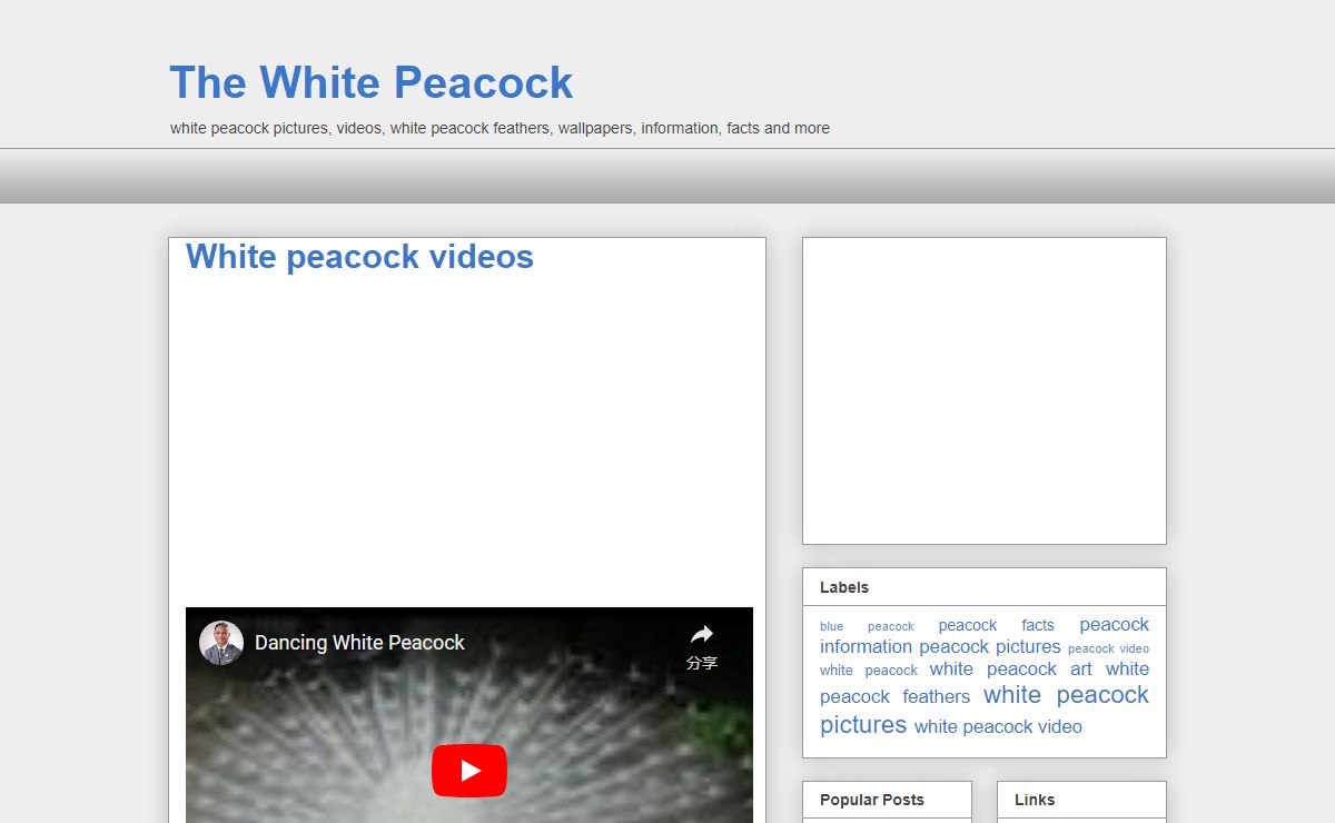 The White Peacock