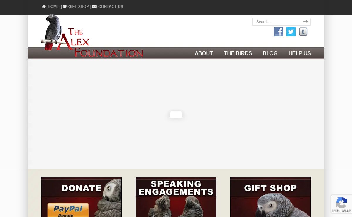 Home - Alex Foundation