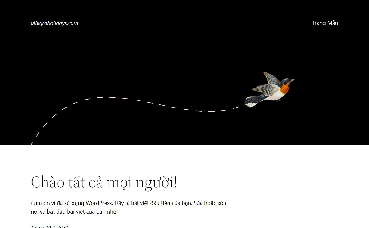 allegroholidays.com – Một trang web mới sử dụng WordPress