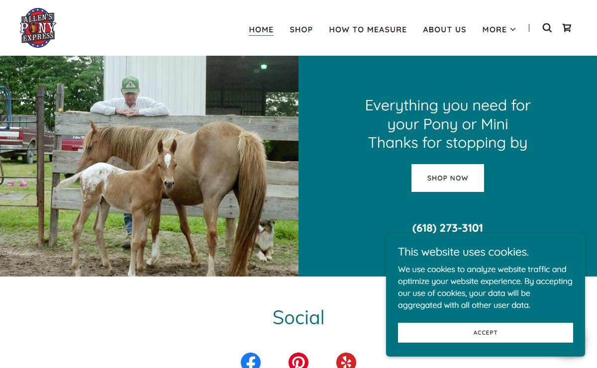 Miniature Horse & Pony Tack Supplies | Allen's Pony Express