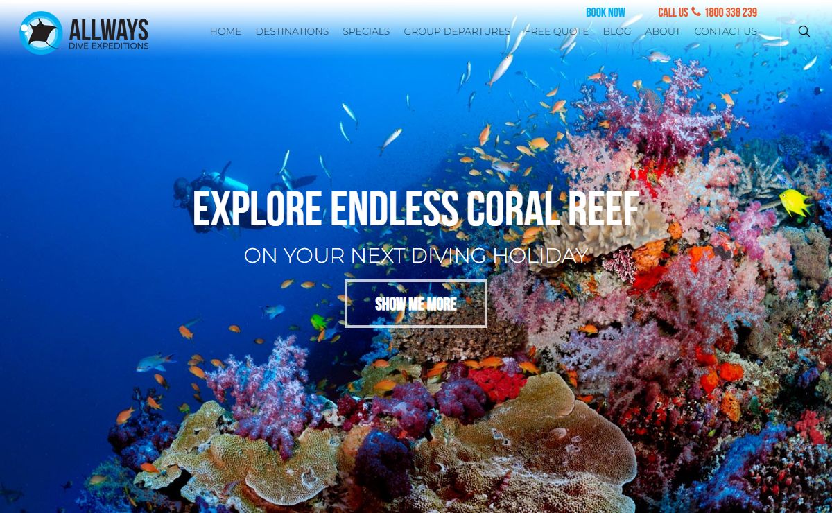 Best Diving Sites in the World | Scuba Diving Adventure | Dive Travels
