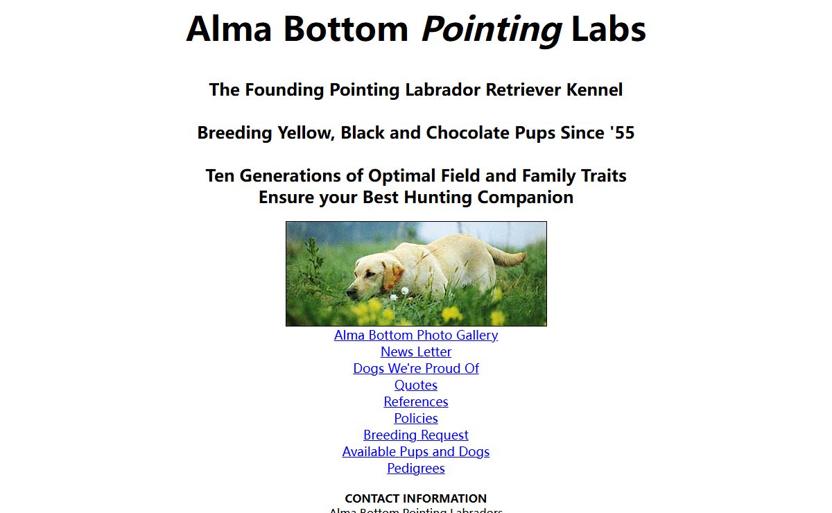 Alma Bottom Pointing Labs