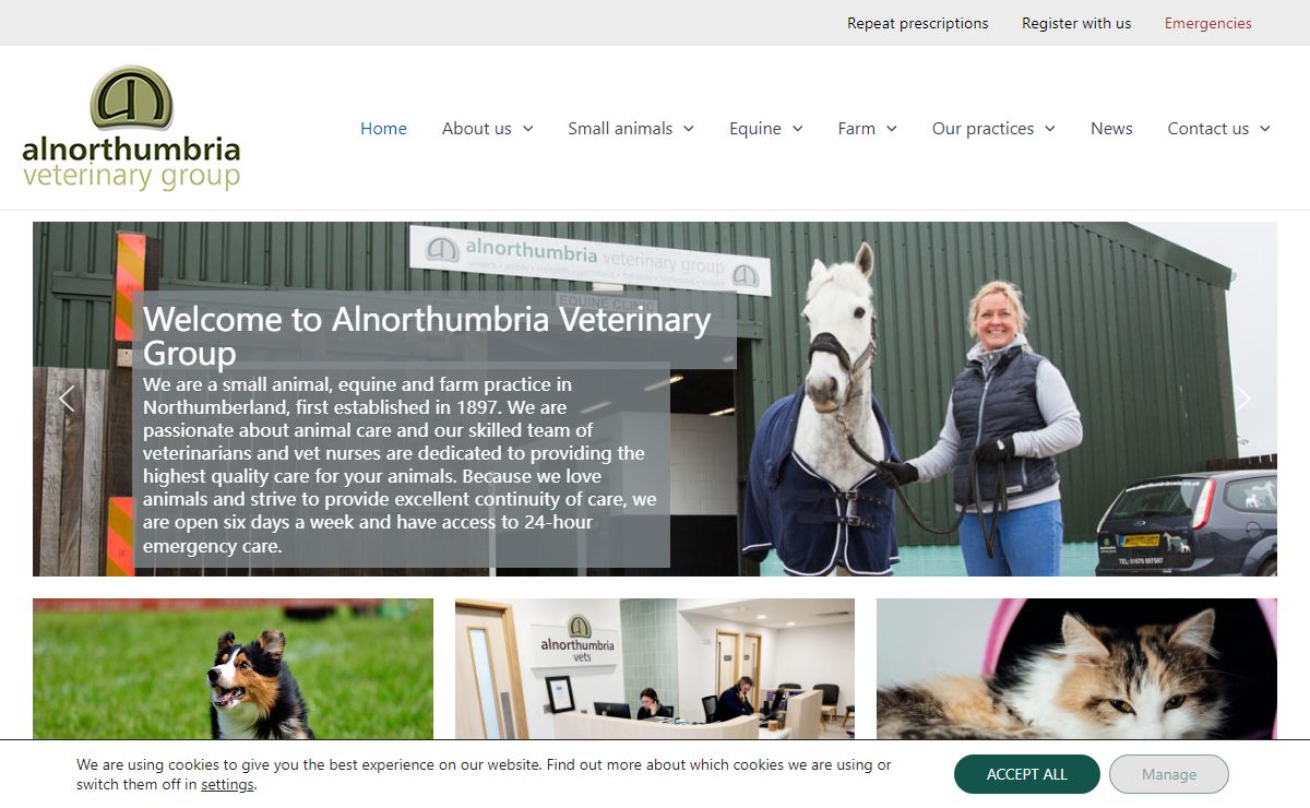 We care for animals in Northumberland | Alnorthumbria Veterinary Group