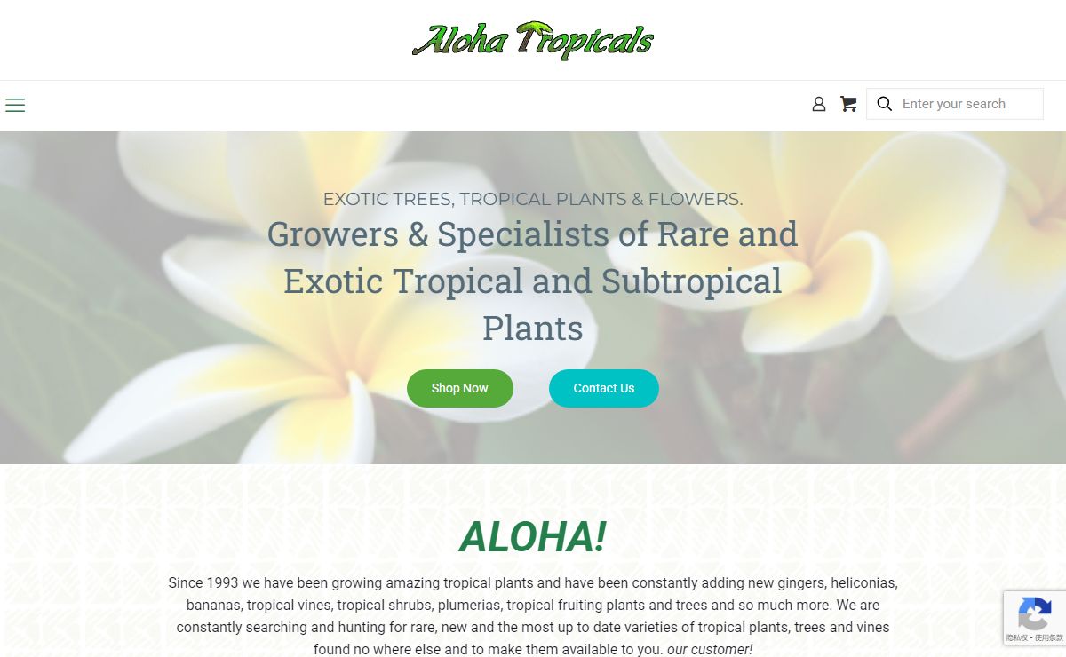 Aloha Tropicals – Exotic Trees, Tropical Plants & Flowers