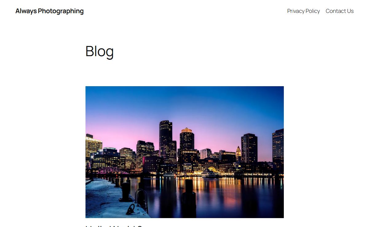Always Photographing -