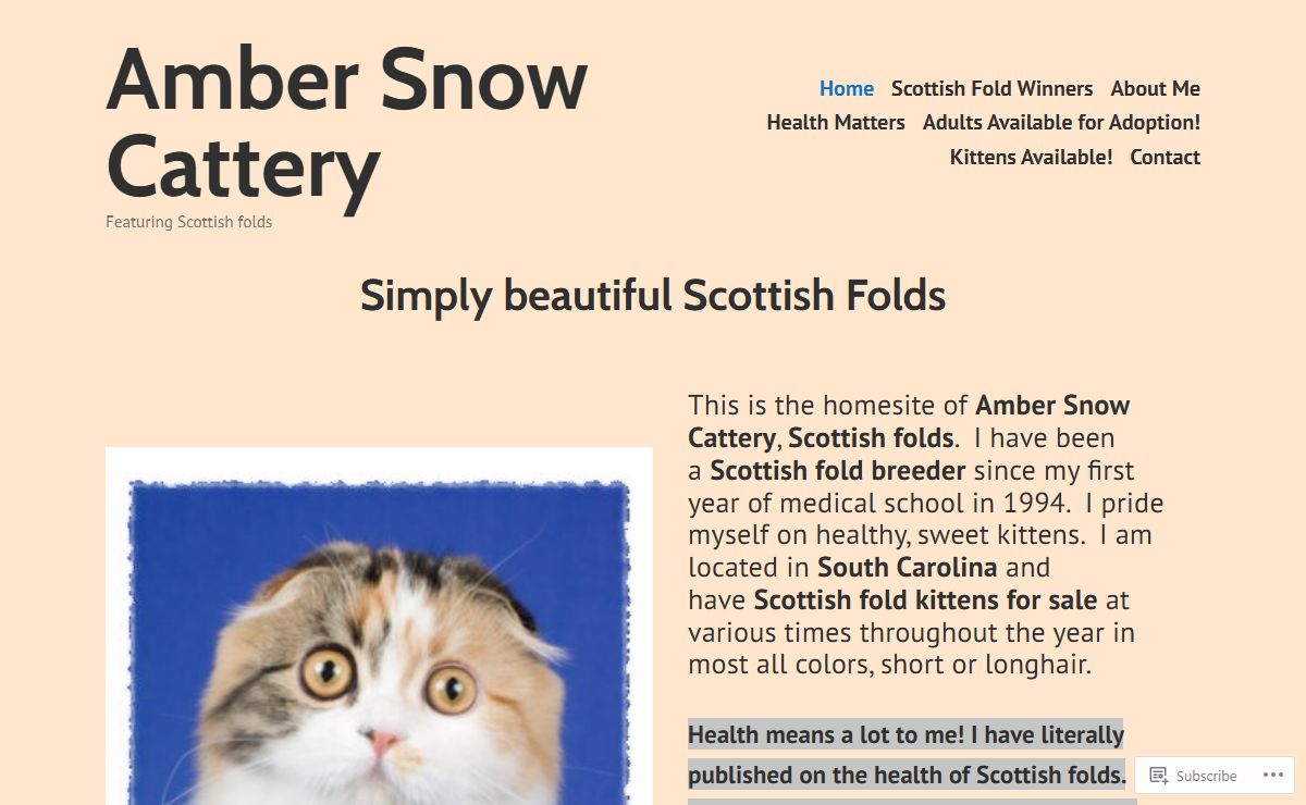Amber Snow Cattery – Featuring Scottish folds