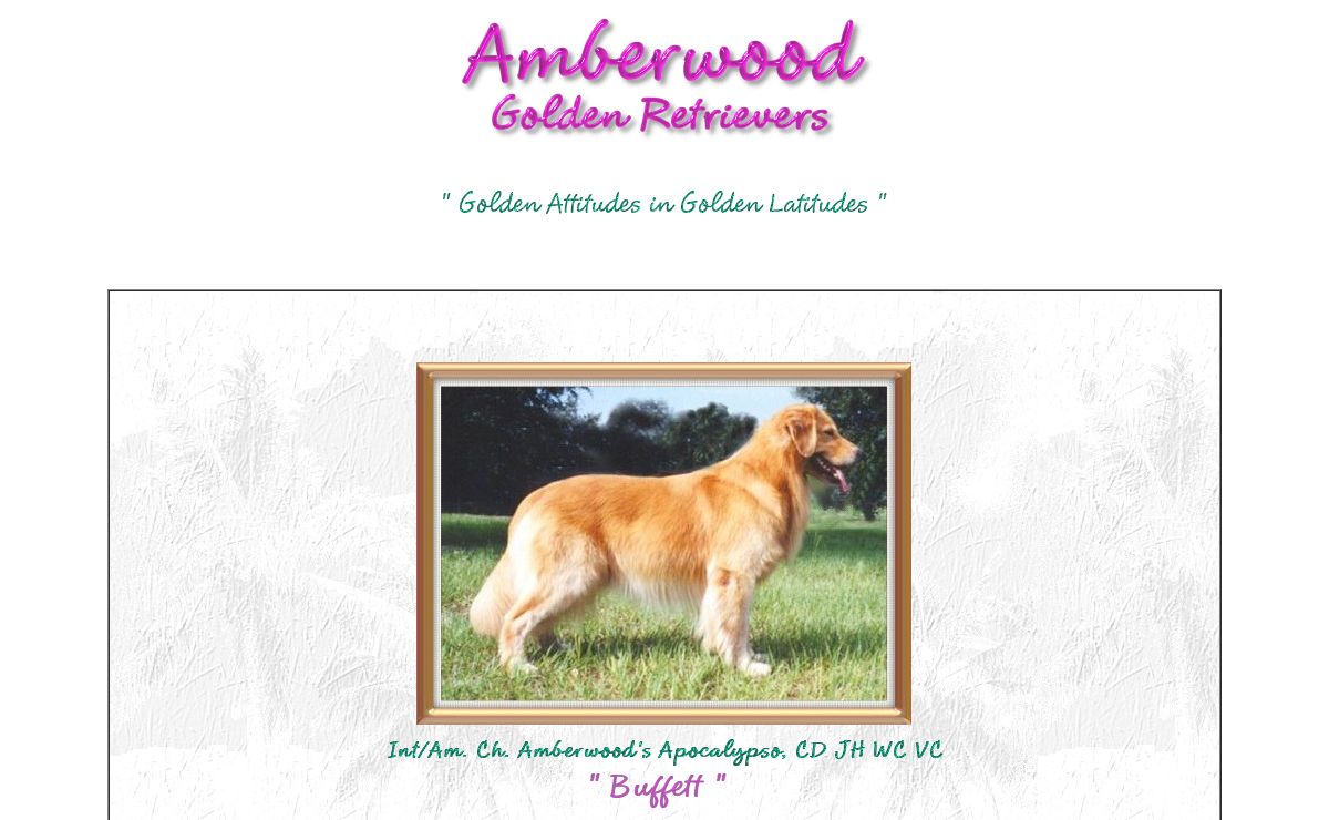 Amberwood Golden Retrievers