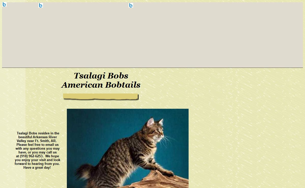 Tsalagi Bobs American Bobtails