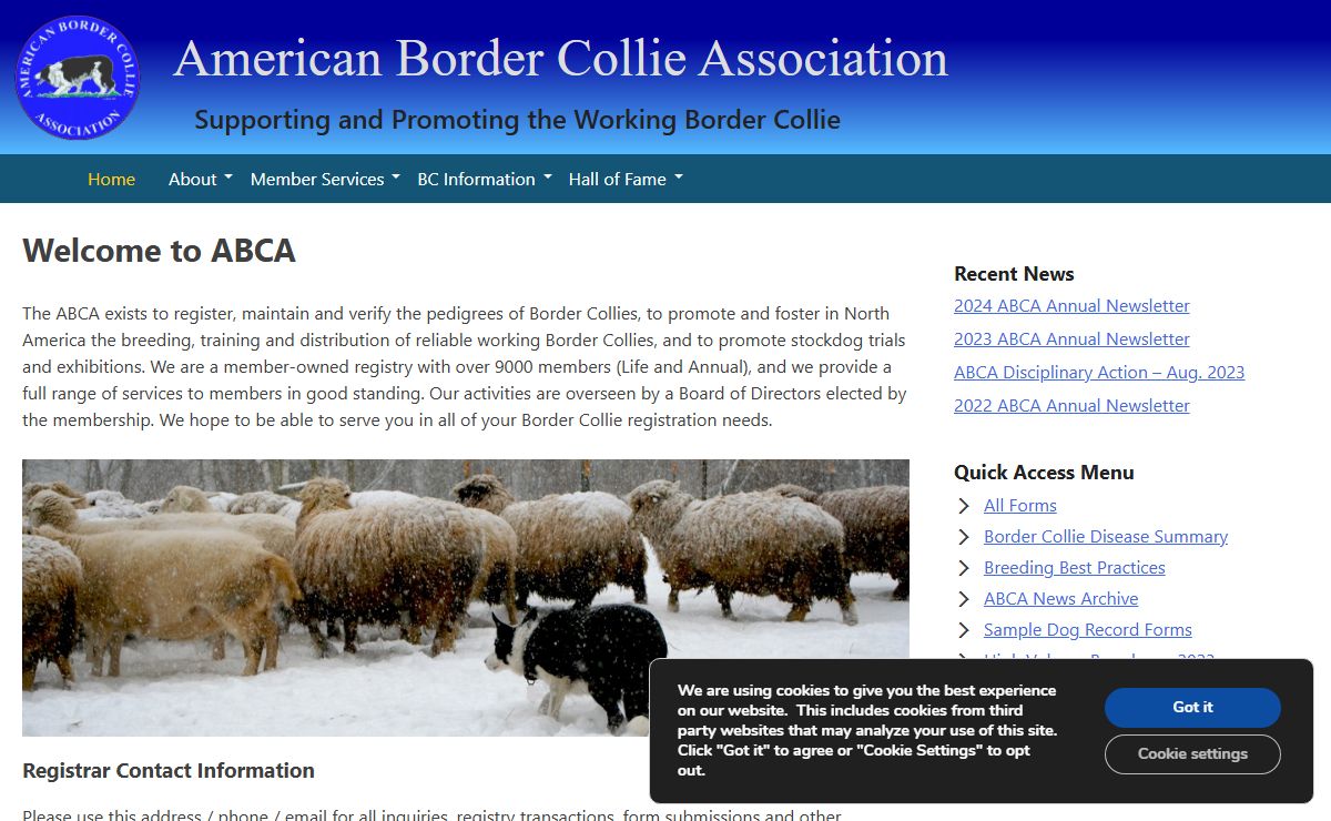 American Border Collie Association