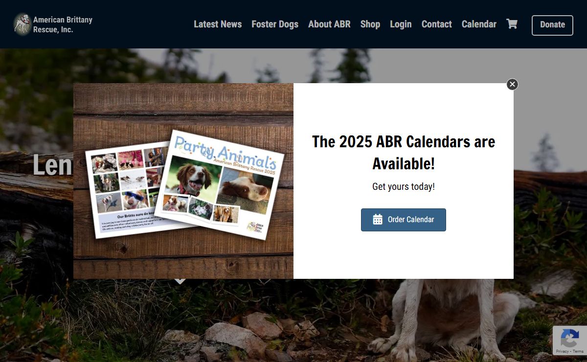 American Brittany Rescue