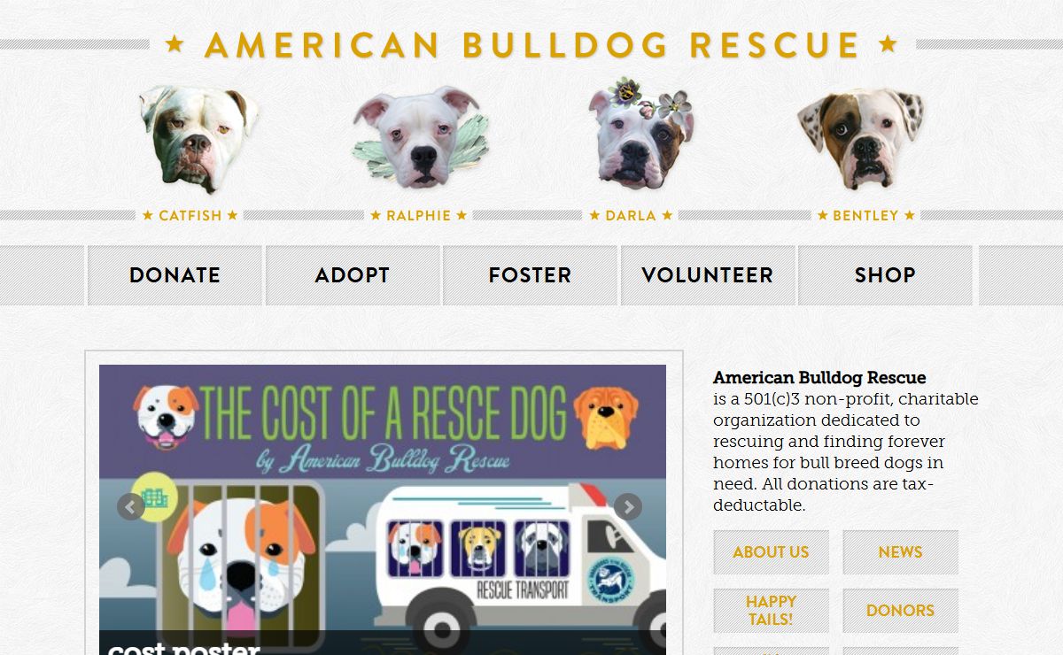American Bulldog Rescue - 501C3 Not-for-Profit Dog Rescue Charity