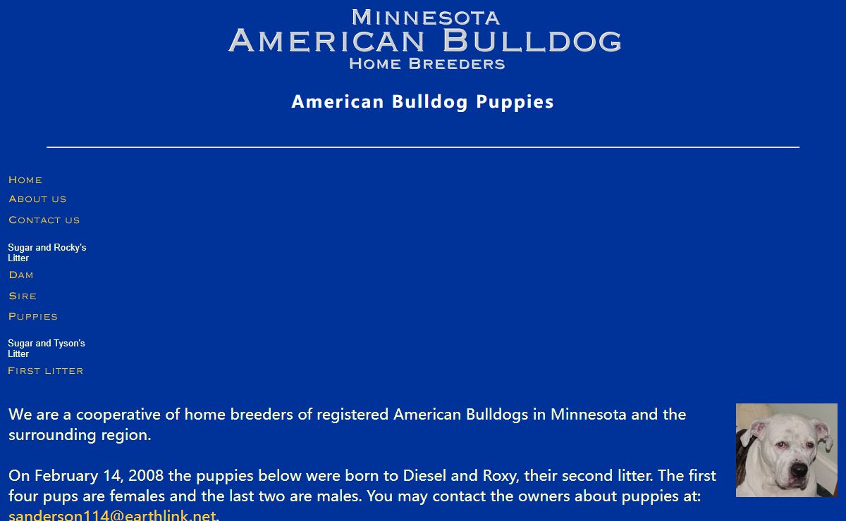 Minnesota American Bulldog Home Breeders--American Bulldog Puppies